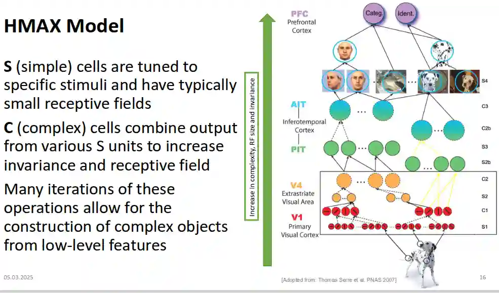Convolutional Neural Network-20250520135334007